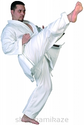 Karatega Kaiten New Dynamic