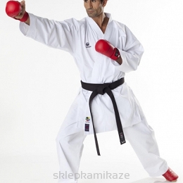 Karatega Tokaido Kumite Master