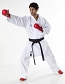 Karatega Tokaido Kumite Master