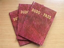 Budo-Pass