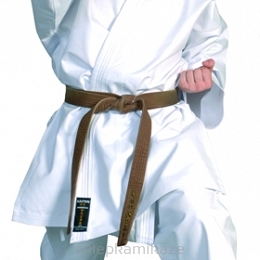 Karatega Kaiten America